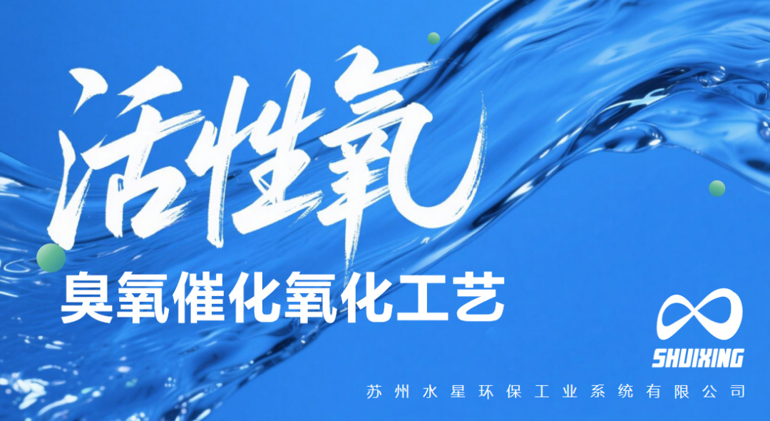 活動（dòng）|水（shuǐ）星環保雙會發布兩項創新環保技術